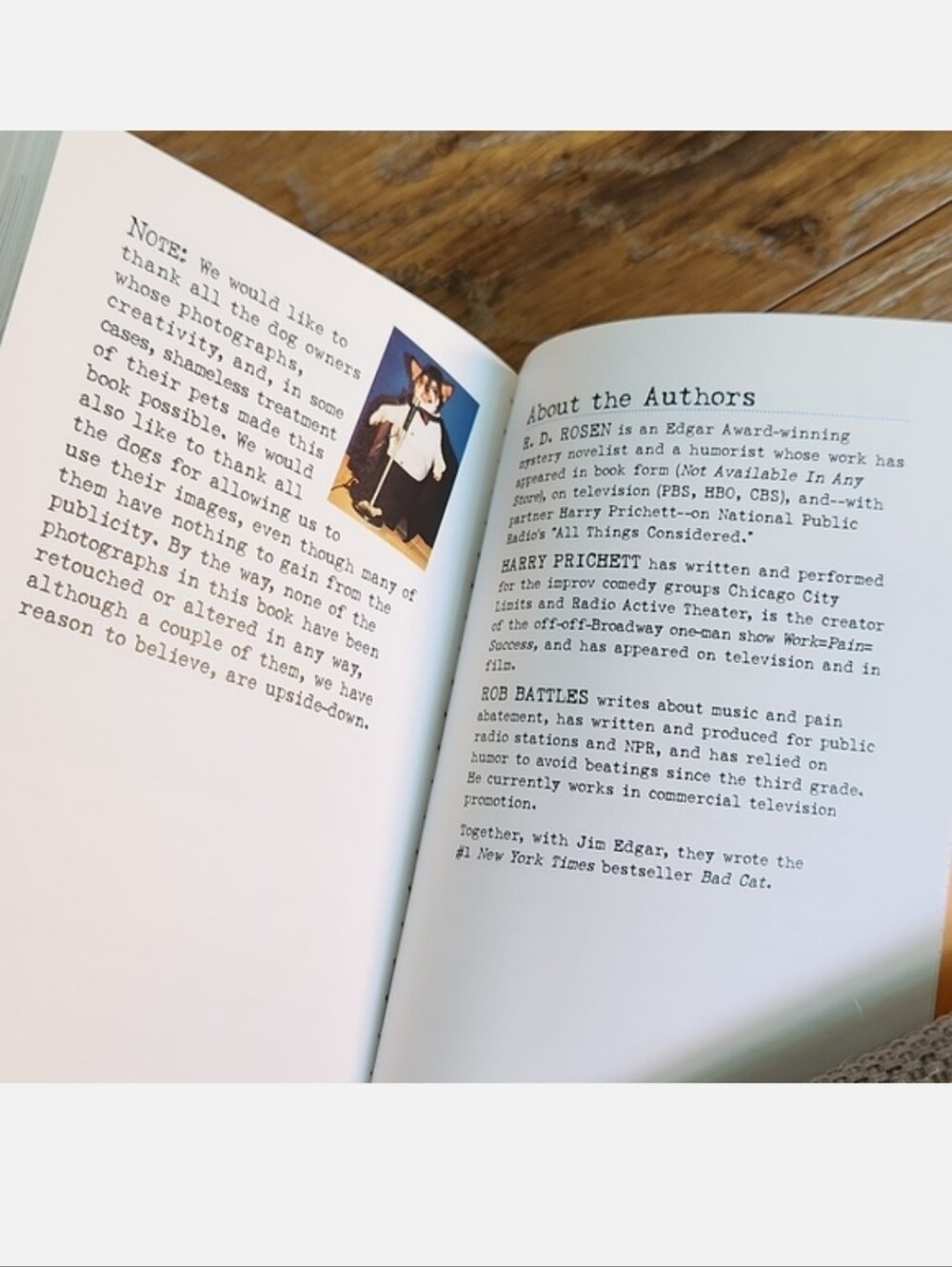 Bad Dog Book - Picture 8 of 9
